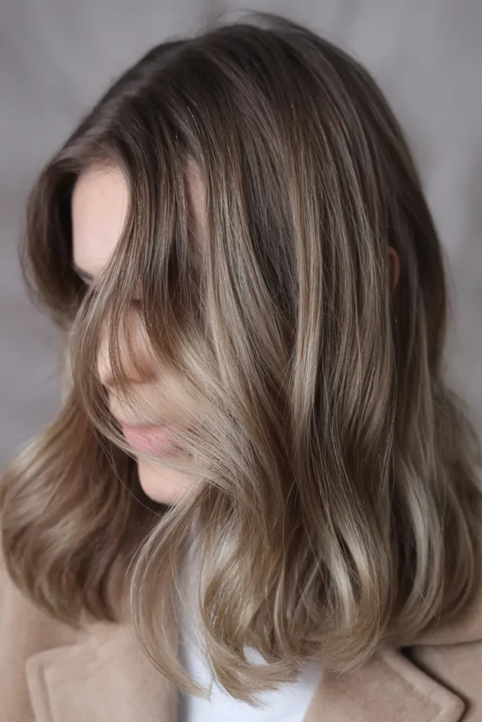Maple Ash Contour
