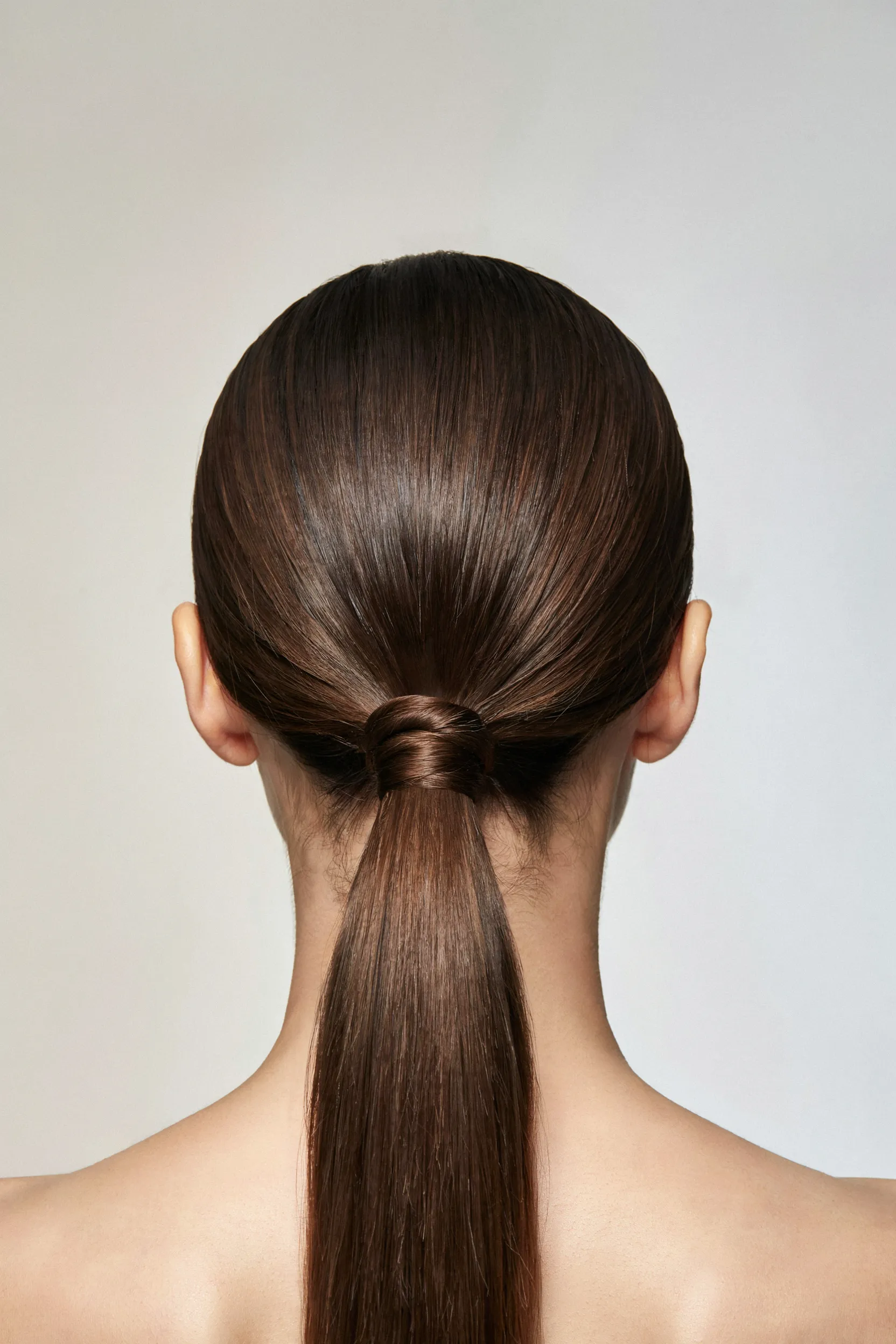 sleek low pony