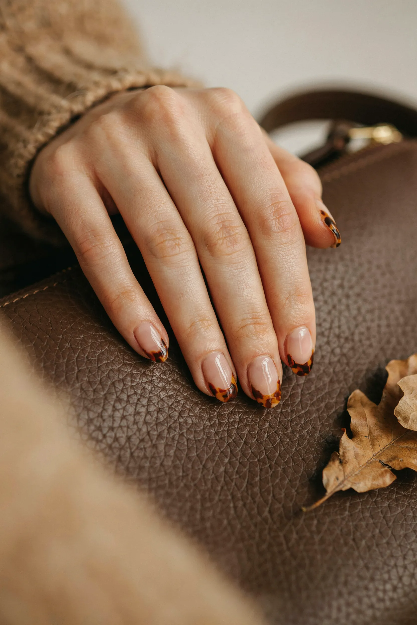 tortoiseshell accent tips